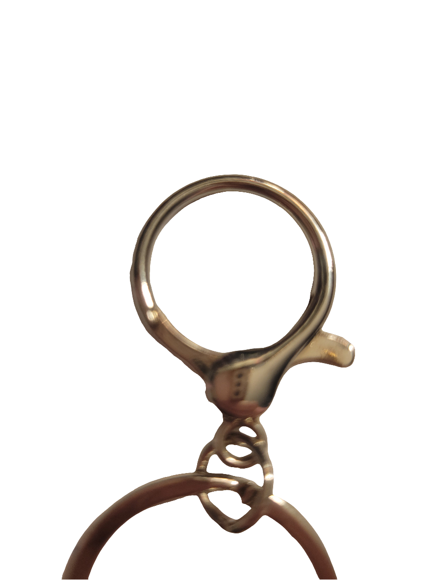 Blue Duck Bar Keychain