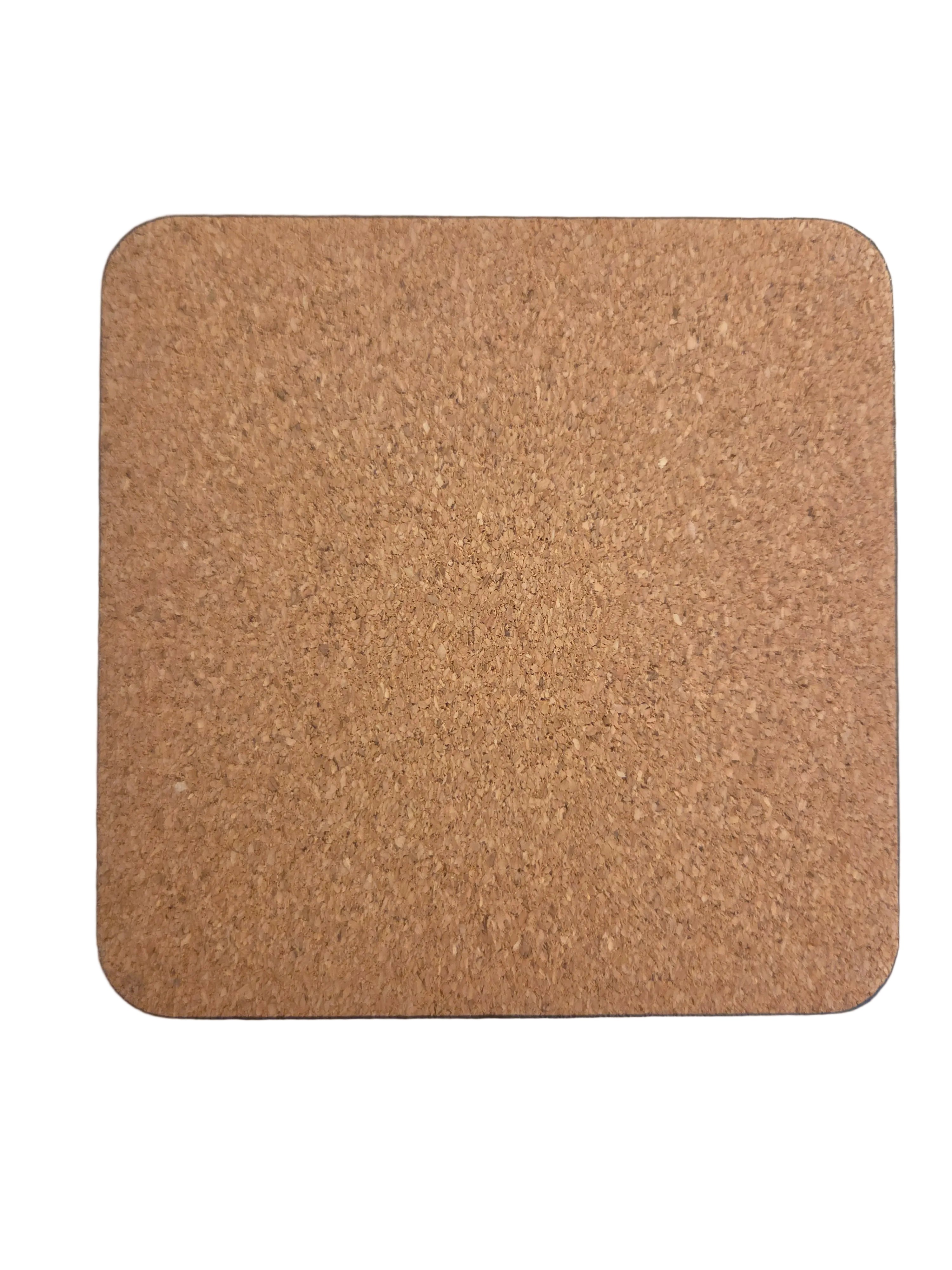 Born to Read Coasters
