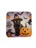 Black Cat Pumpkin Magnet